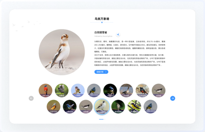 青海鳥(niǎo)類(lèi)資源庫(kù)網(wǎng)站設(shè)計(jì)、交互設(shè)計(jì)、UI設(shè)計(jì)、鳥(niǎo)類(lèi)資源庫(kù)網(wǎng)站設(shè)計(jì)、高端網(wǎng)站設(shè)計(jì)