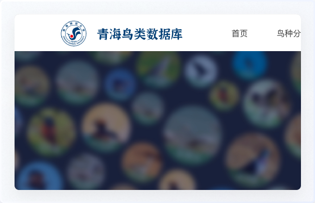 青海鳥(niǎo)類(lèi)資源庫(kù)網(wǎng)站設(shè)計(jì)、交互設(shè)計(jì)、UI設(shè)計(jì)、鳥(niǎo)類(lèi)資源庫(kù)網(wǎng)站設(shè)計(jì)、高端網(wǎng)站設(shè)計(jì)